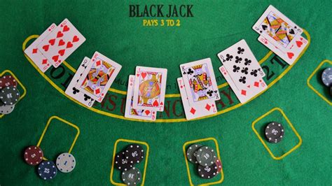 contador de cartas blackjack|CardCounter .